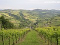 Casa Indipendente Brisighella (RA) Zattaglia 